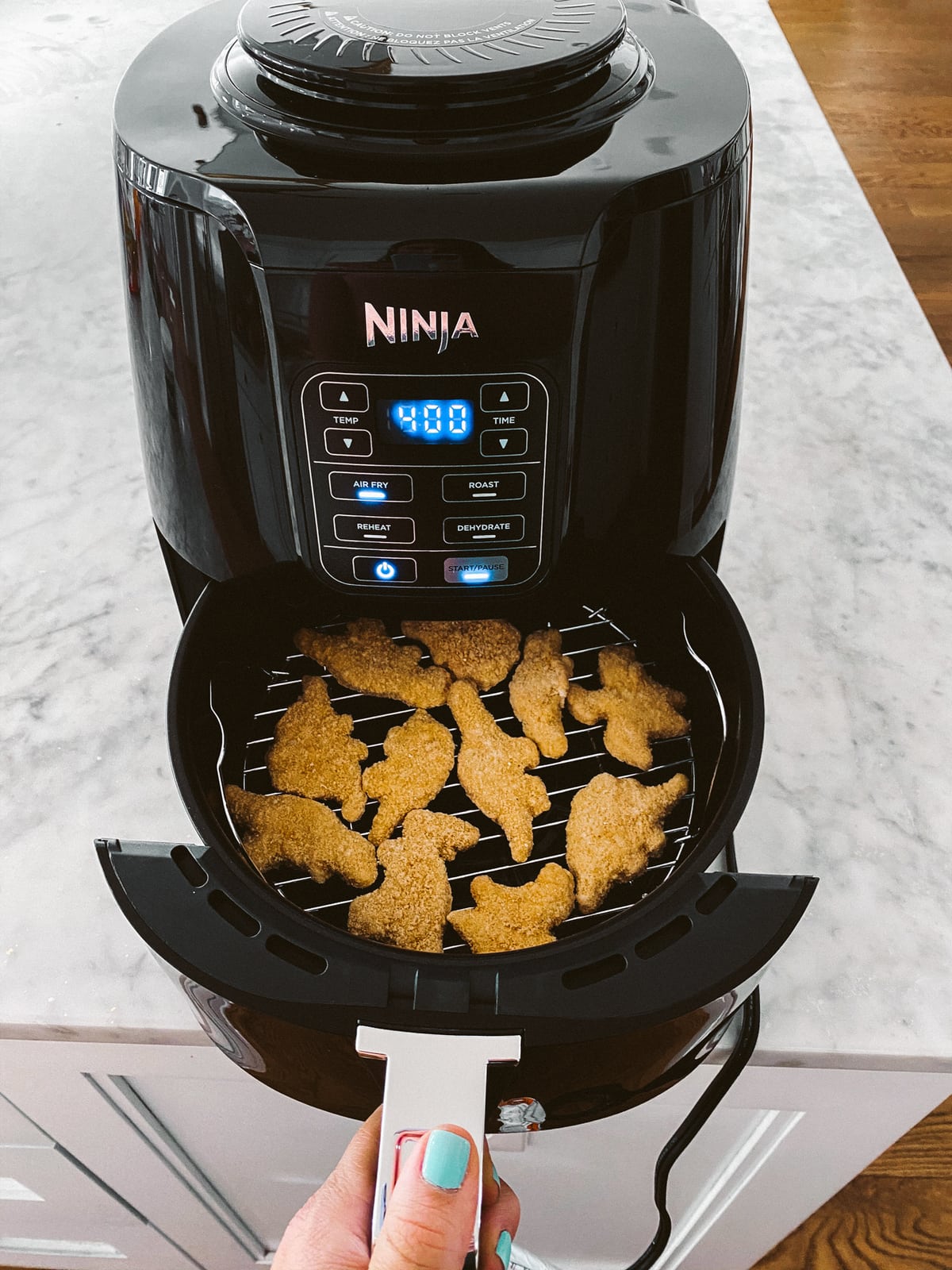 Ninja Hot Air Fryer